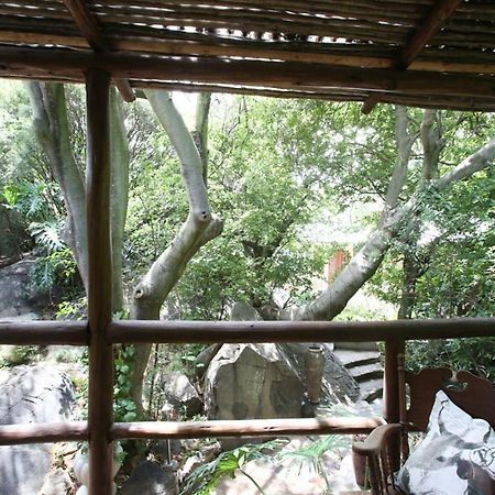 Little Forest Guest House Johannesburg Bagian luar foto