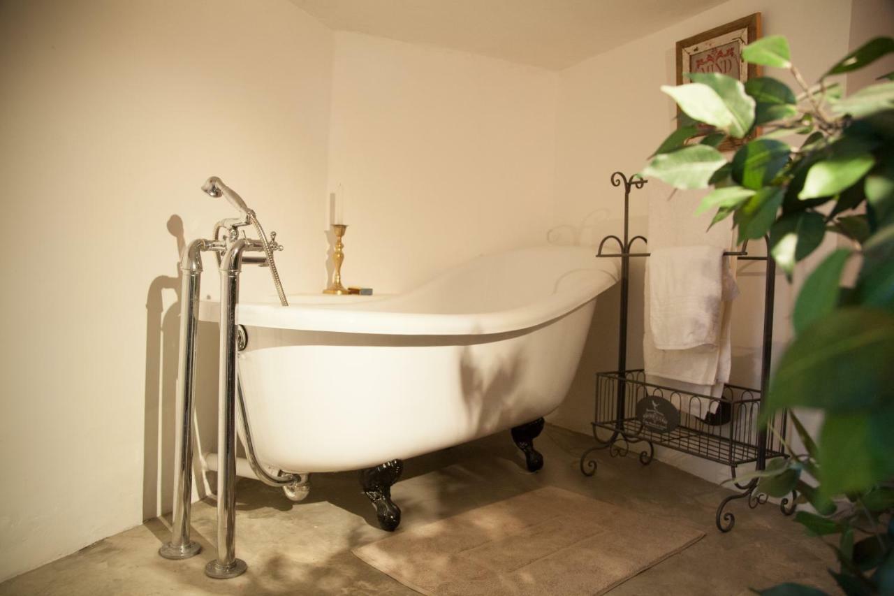 Little Forest Guest House Johannesburg Bagian luar foto